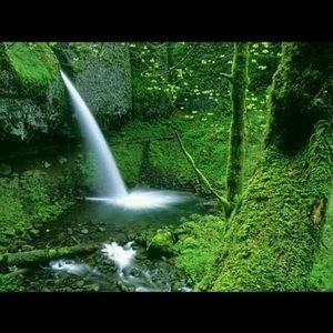 Meet your Posher, Paulo